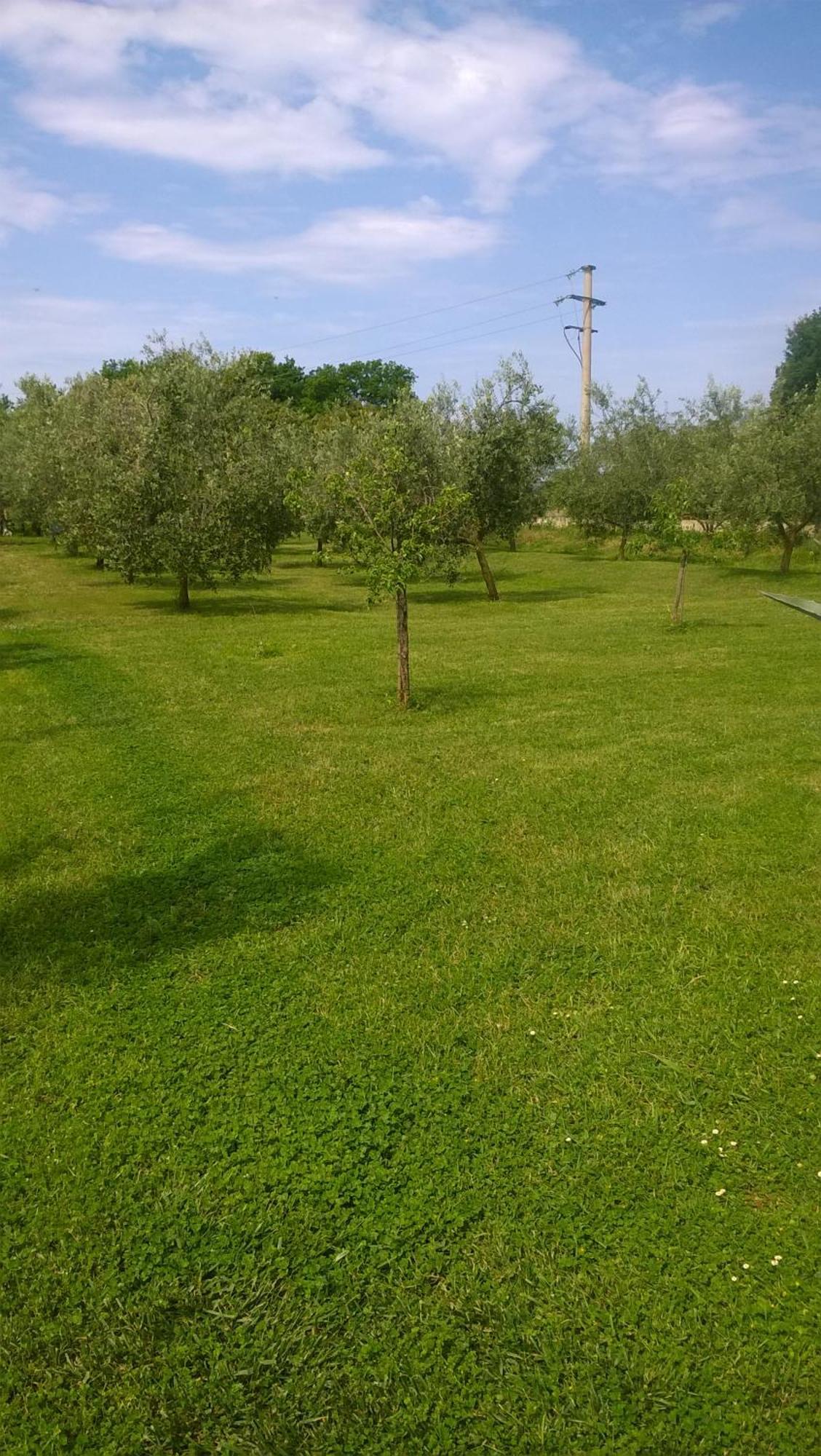 Apartmani Natasa Врсар Экстерьер фото